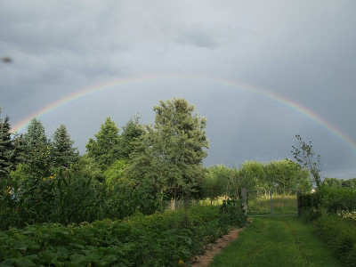 Regenbogen_19.7.12_ue.jpg