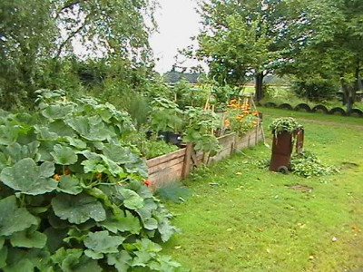 IMGA1260_2.jpg