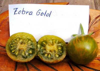 Zebra_Gold_x.JPG
