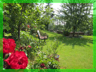 VerkleinerungenGarten_1.jpg