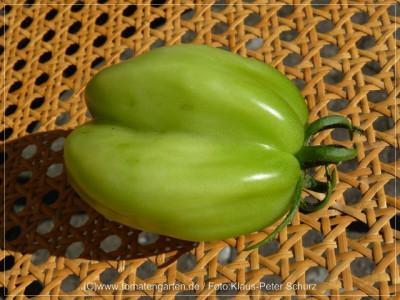 12Antike_Tomate15.jpg