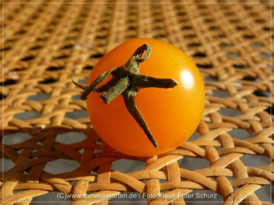 12Ping_Pong14.jpg