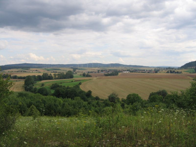 meinmagerrasen2a.jpg