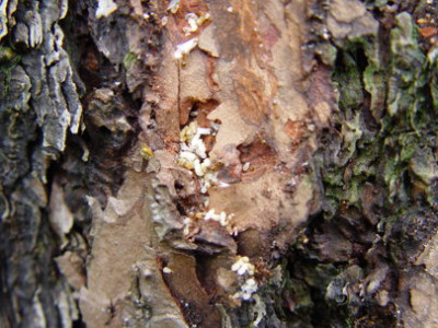 DSC402.jpg