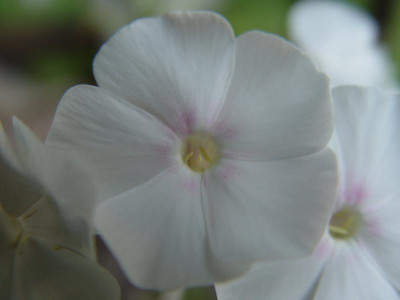 DSC403.jpg