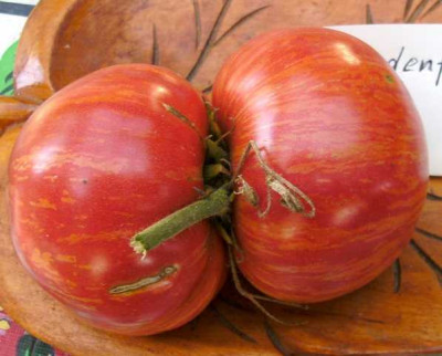 K640_BILD8388.JPG