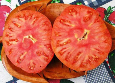 K640_Rote_russische_Fleischtomate__7.28__12.JPG