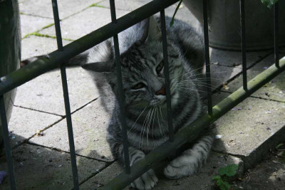 August0512.jpg