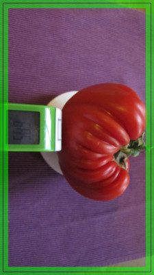 VerkleinerungenReif_Red_Heard_685_g_11.jpg