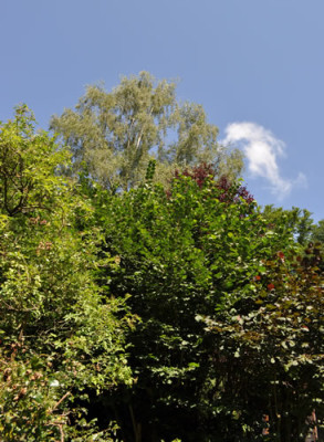 Baume_12__0576.jpg