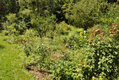 Waldgarten_12__0577.jpg