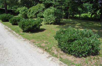 Wegbegleiter_12__0627.jpg