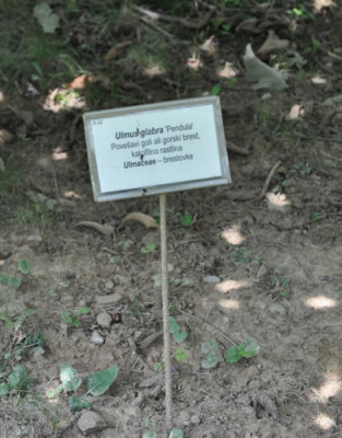 Beschriftung_12__0629.jpg