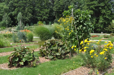 Beete_12__0672.jpg