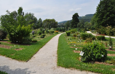 Sichtachse_12__0630.jpg