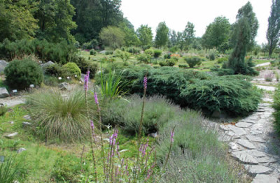 Trockenbeete_12__2263.jpg