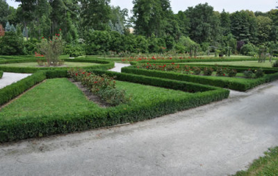 Rosenbeete_2_12__0648.jpg