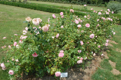 Preseren_S_1_12__2326.jpg