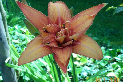 k-10.07.2007_017.jpg
