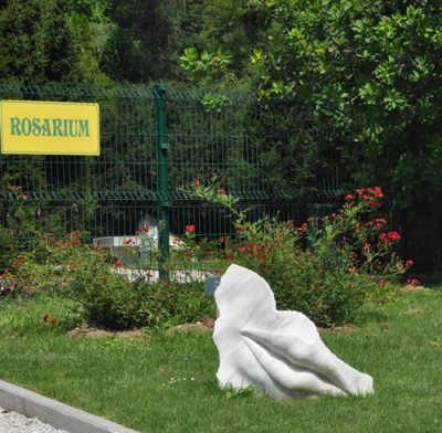 Rosarium_12__0703.jpg