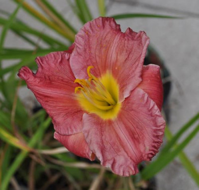 Siloam_Paul_Watts_12__1165.jpg