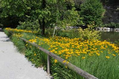 Gelber_Blickpunkt_12__0711.jpg