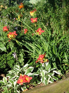 JuliAugust_2012_008_15.JPG