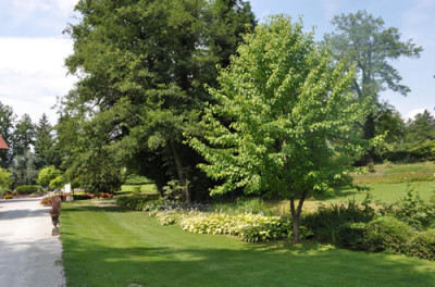Hostas_12__0699.jpg