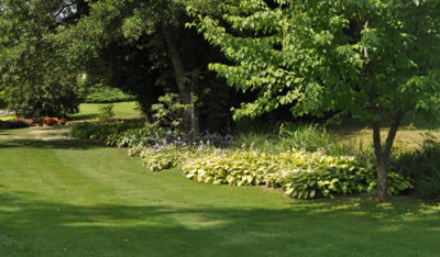 Hosta_2_12__0700.jpg