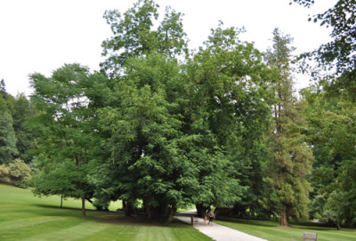 Gigantisch_12__0731.jpg