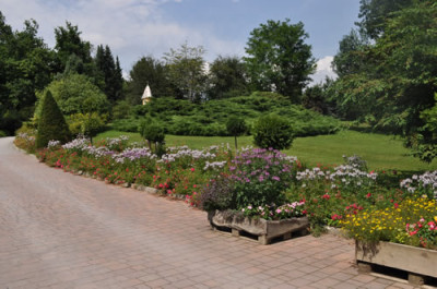 Bepflanzung_12__0702.jpg