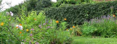 Morgens_in_MGP_120810_2.jpg