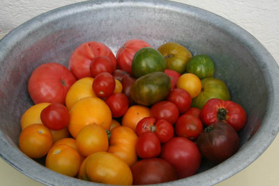 August7012a.jpg