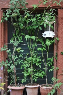Gera776teschuppen.jpg