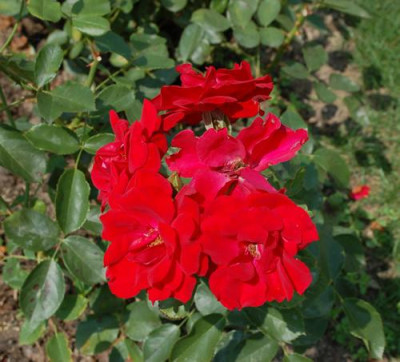 Andalusien_12___2357.jpg