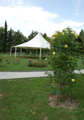 Mod_Pavillon_12__2375.jpg