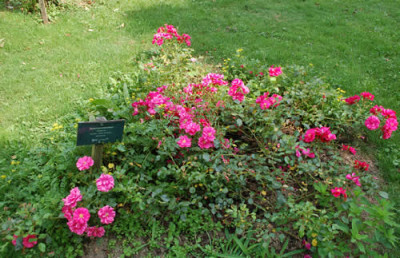 Sommermaerchen_12___2558.jpg