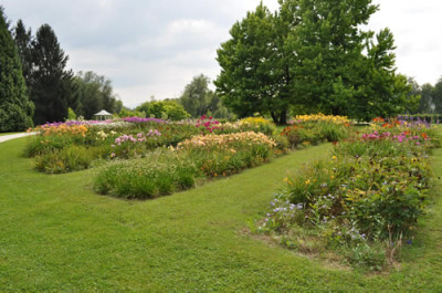 Stauden_12__0736.jpg