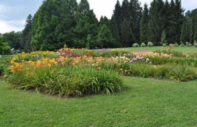 Stauden_2_12__0737.jpg