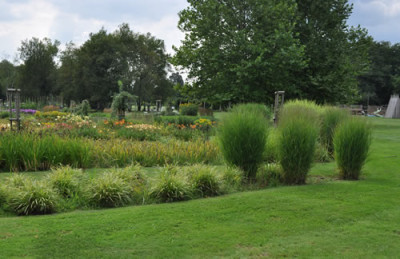 Stauden_3_12__0741.jpg