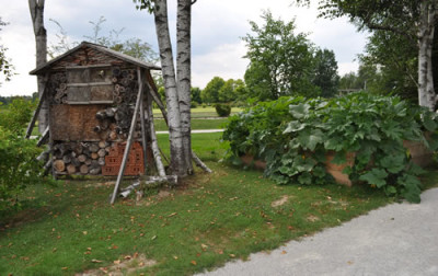 Insektenhotel_12__0759.jpg