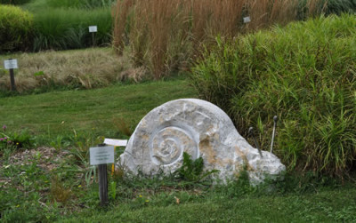 Gartenschnecke_12__0769.jpg