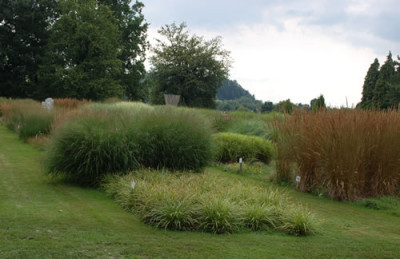 Graeser_12__2581.jpg