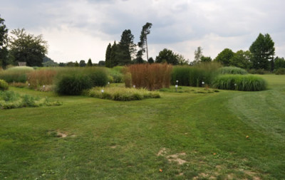 Gras_12__0764.jpg
