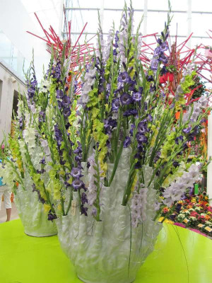 Floriade_Gladiolen.jpg