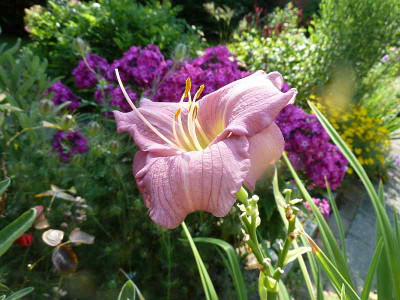 GT05-KL10.2_Lavender_White_Eyes_X_Fantastic_Voyage_P10507931.jpg