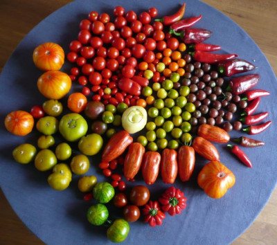 ernte_120804.jpg