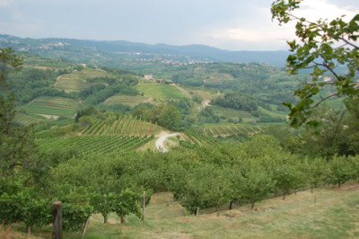 Aussicht_12__2605.jpg