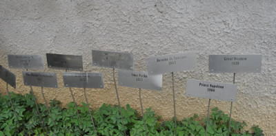 Schilder_2_12__0827.jpg
