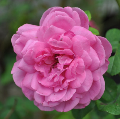 Catherine_Guillot_Michel_Bonnet_12__0850.jpg